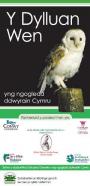 Tylluanod Gwynion